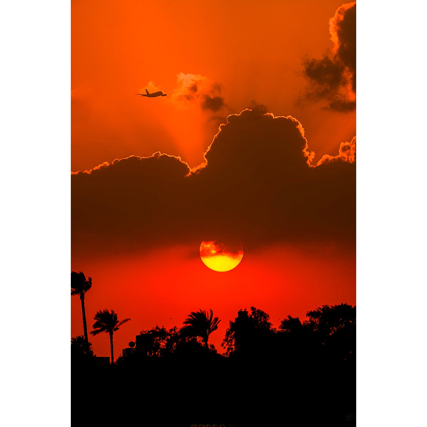  Socotra Photographic Print 02