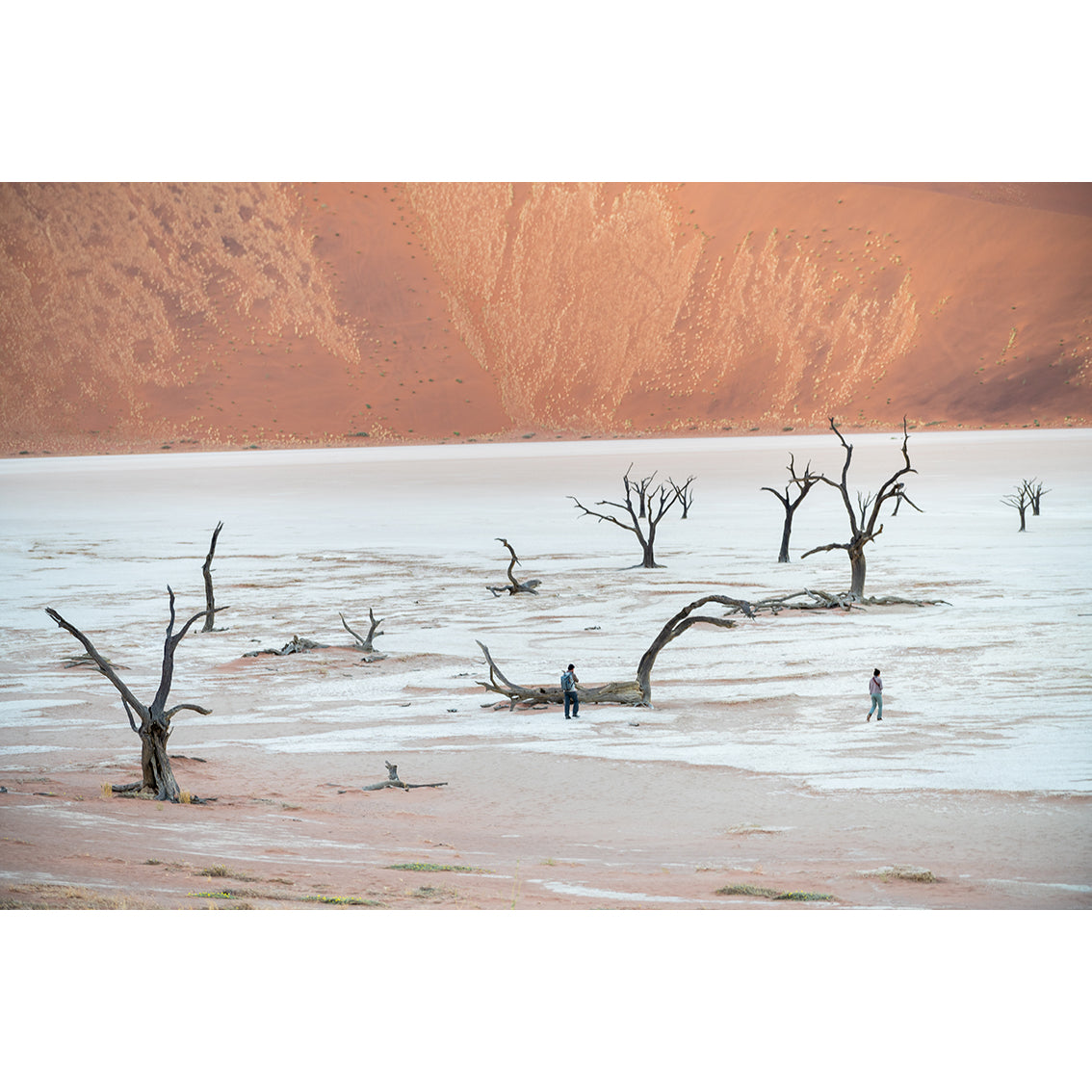 Namibia Photographic Print 01