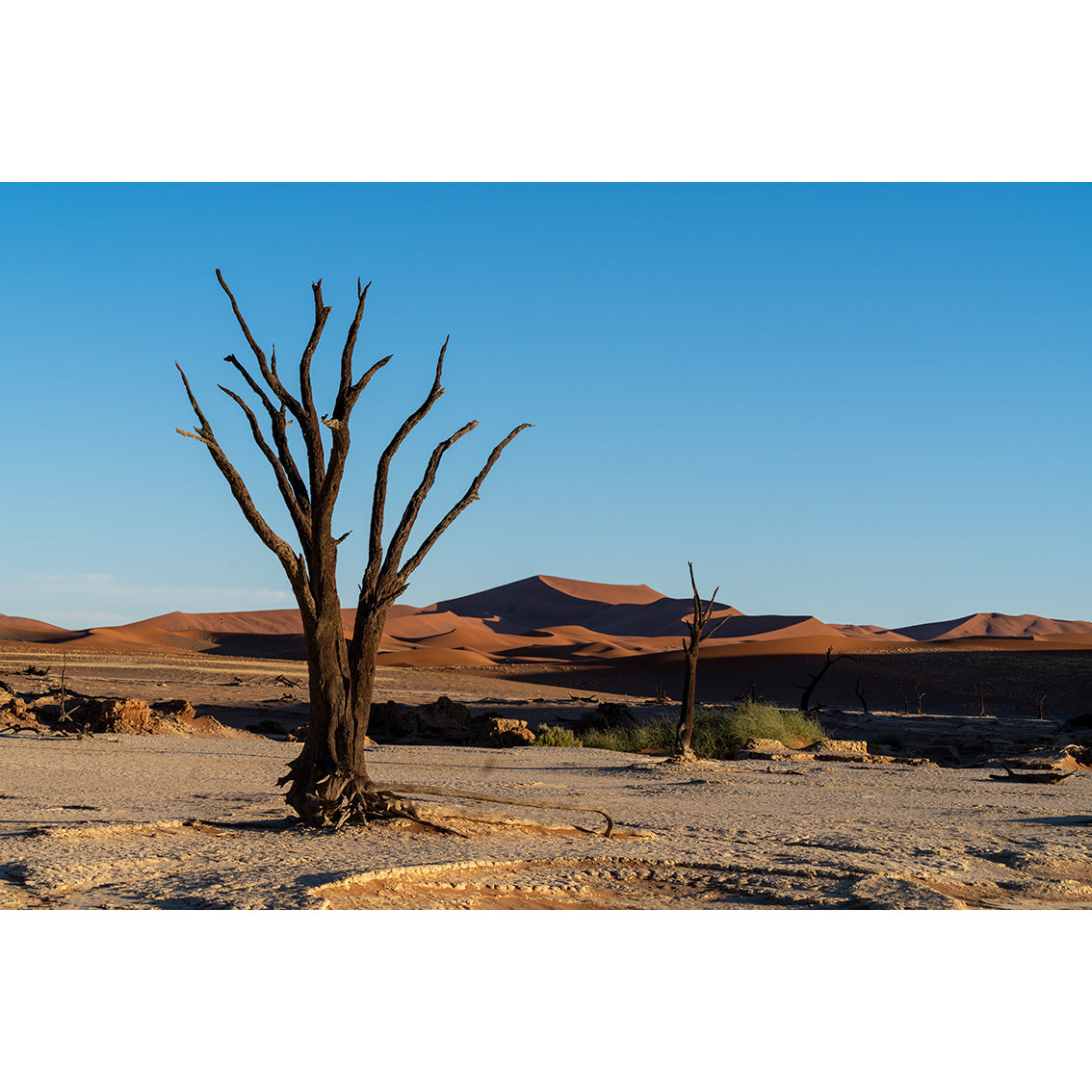 Namibia Fotoğraf Baskı