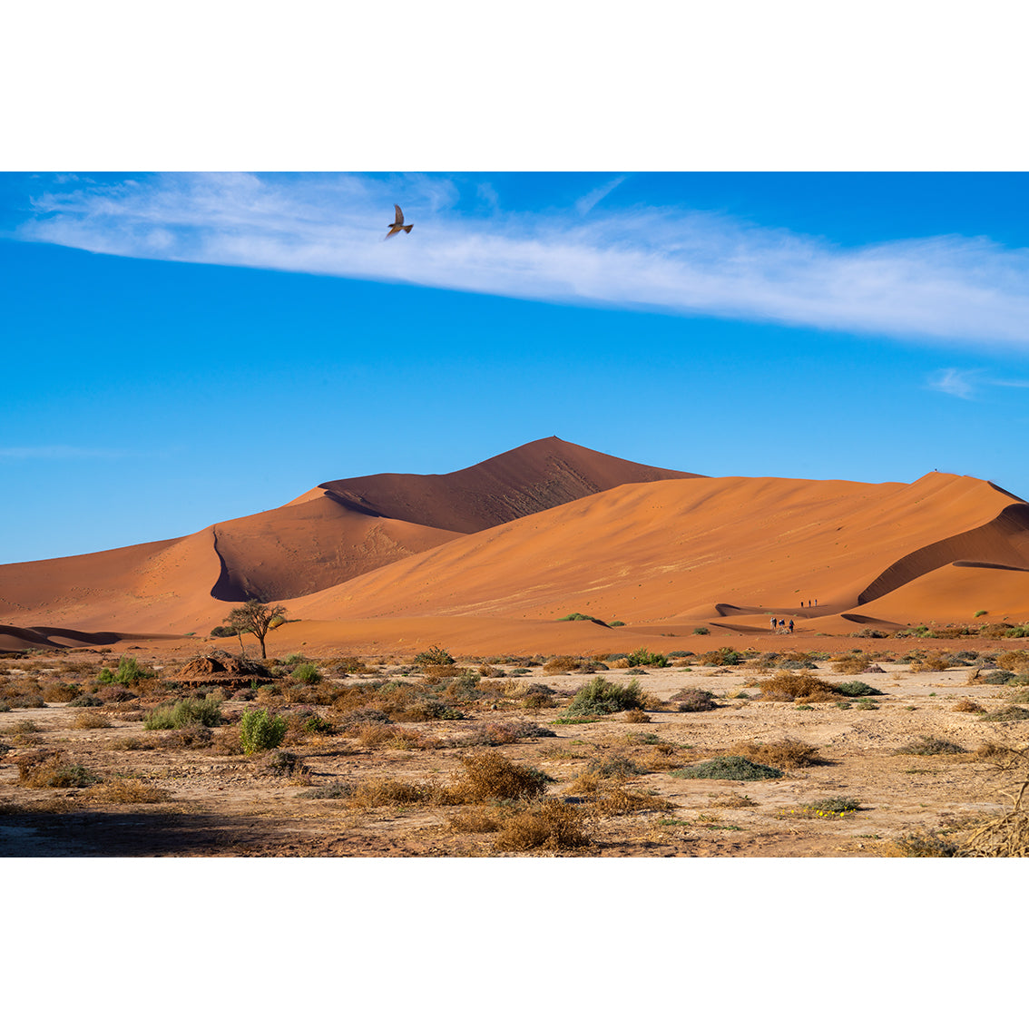 Namibia Fotoğraf Baskı