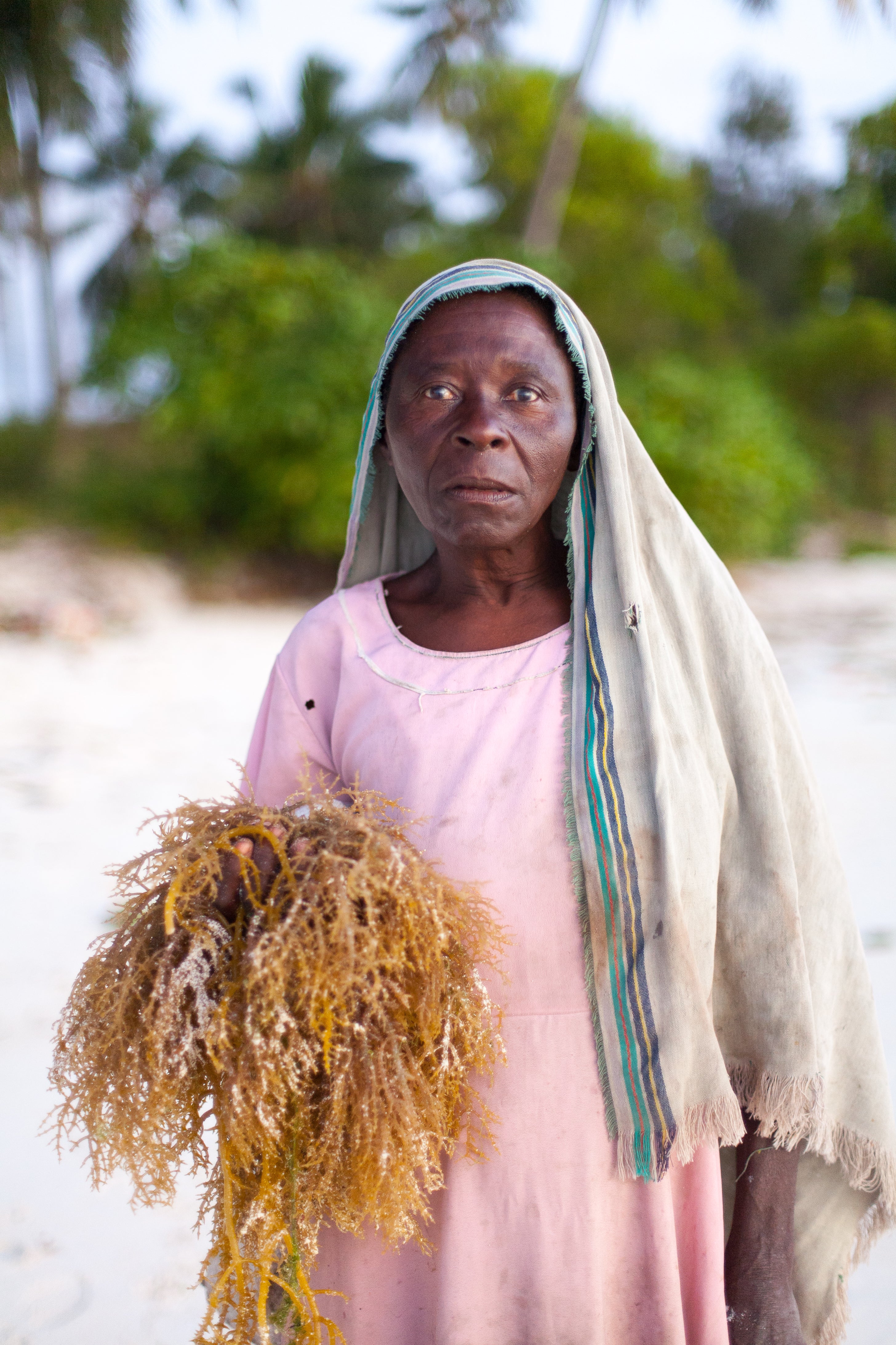 Zanzibar Fotoğraf Baskı 06