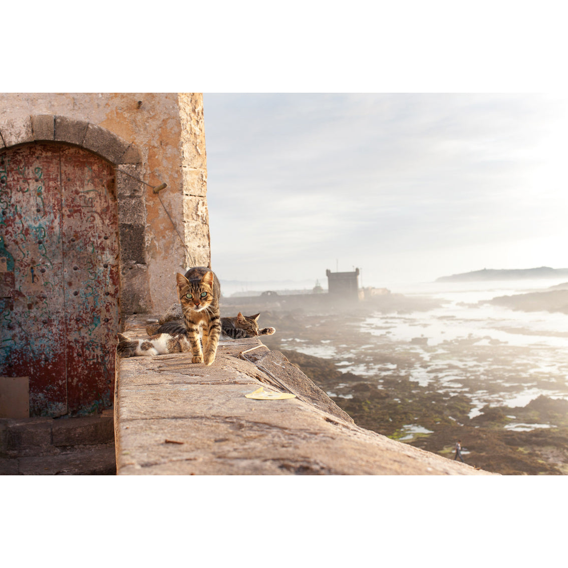 Essaouira Fotoğraf Baskı