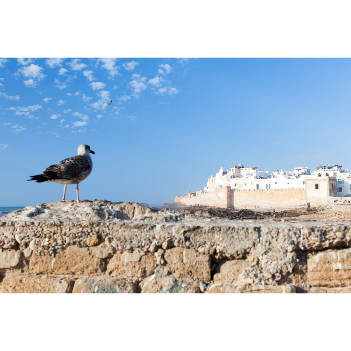 Essaouira Fotoğraf Baskı